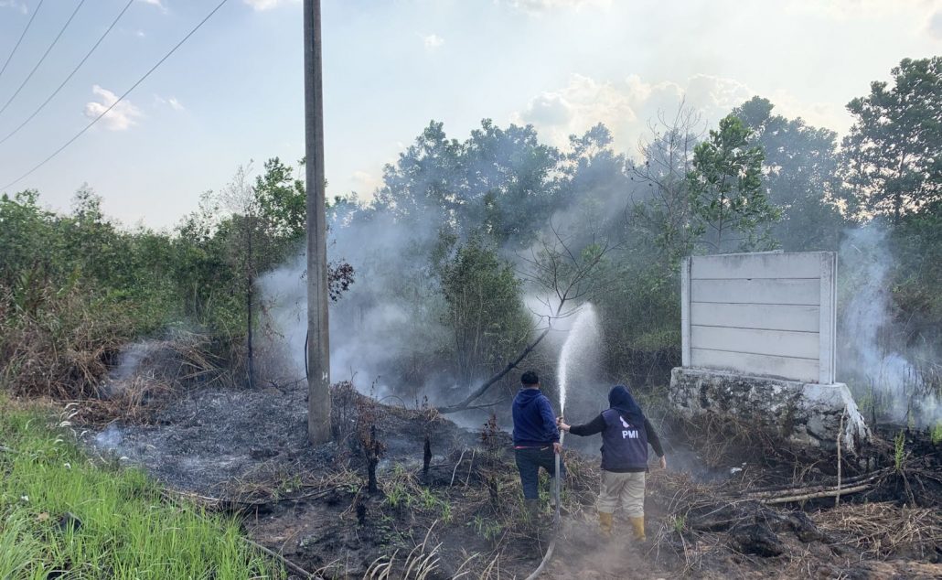 Karhutla Lagi Total Luasan Lahan Terbakar Hektare Pemerintah