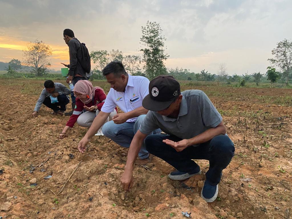 Bumdes Makmur Bersama Gandeng Pt Mas Bbp Kembangkan Jamur Tiram Dan