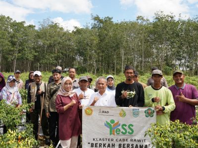 PROGRAM YESS MEMASUKI TAHAP AKHIR,  PEMUDA BANJAR BUKTIKAN PERTANIAN BISA JADI MASA DEPAN